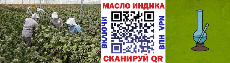 где купить   Бодайбо  ТГК THC oil 