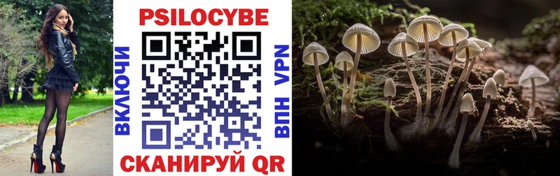 продажа наркотиков Бодайбо Галлюциногенные грибы Psilocybine cubensis